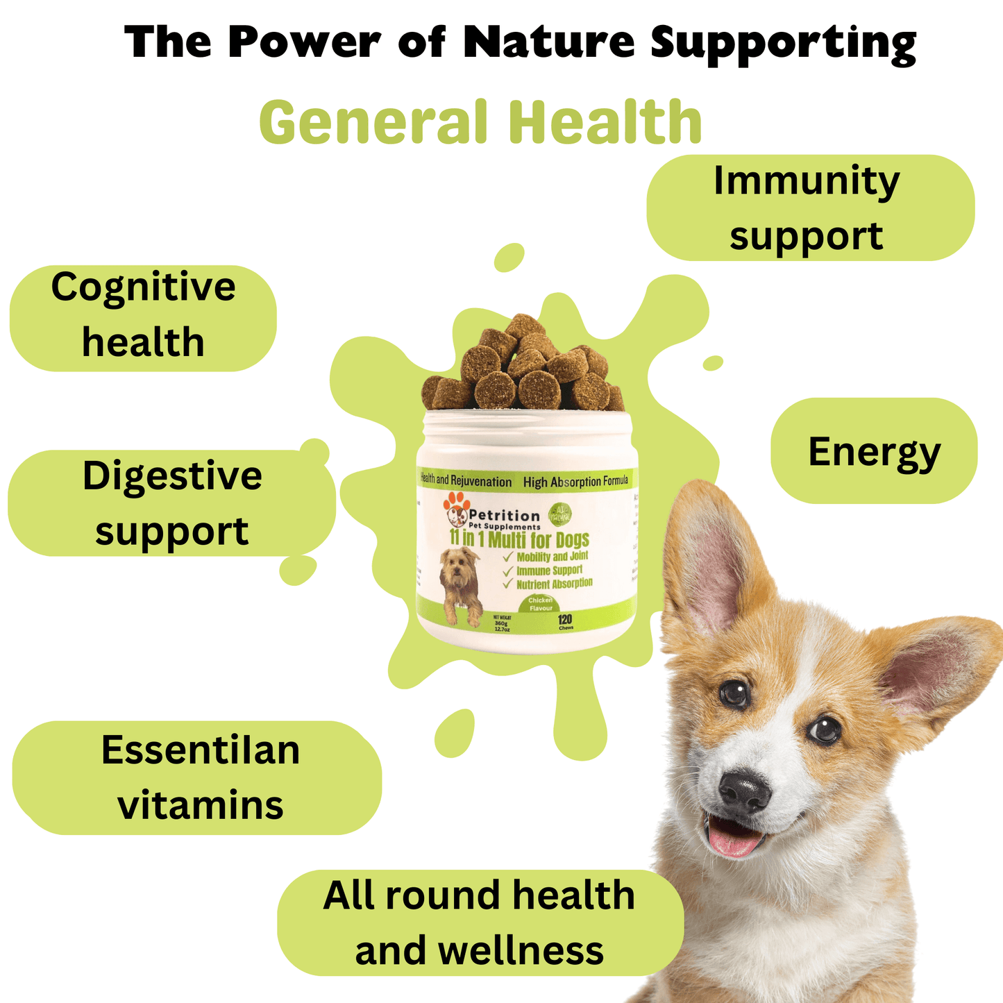 Petrition 11 in 1 Multivitamin Chews for Dogs - 120 Chews Chicken Flavour - Petrition Pet Supplements