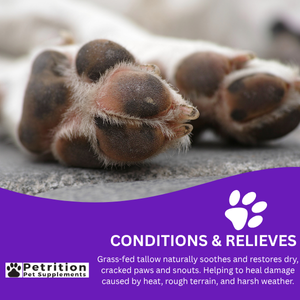 Gentle Yet Powerful Paw & Snout Balm for Dogs