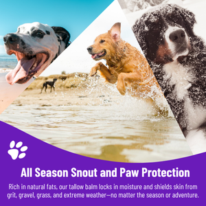 Gentle Yet Powerful Paw & Snout Balm for Dogs