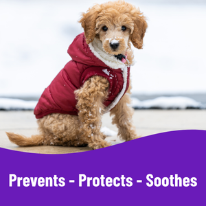 Gentle Yet Powerful Paw & Snout Balm for Dogs