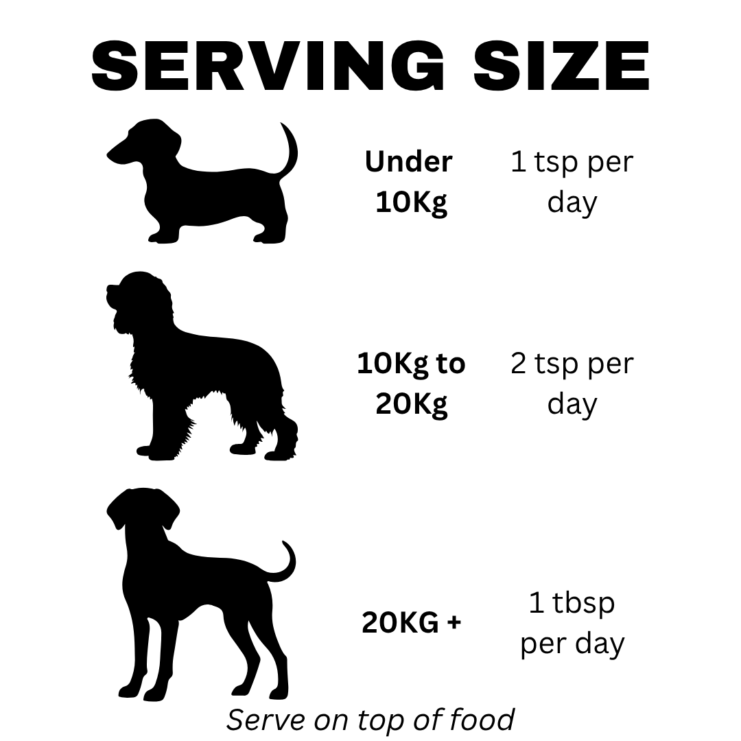 Petrition Multivitamin Supplement for Dogs - 100gm Powder Beef Flavour