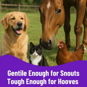 Gentle Yet Powerful Paw & Snout Balm for Dogs