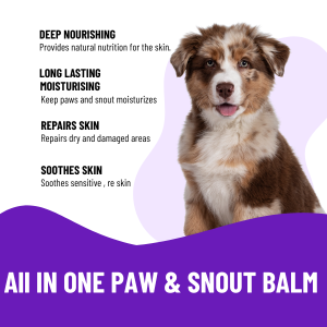 Gentle Yet Powerful Paw & Snout Balm for Dogs