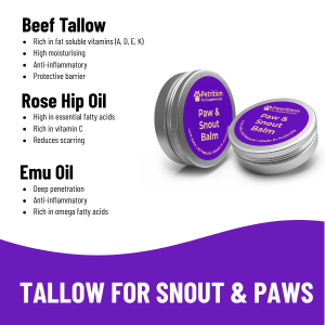 Gentle Yet Powerful Paw & Snout Balm for Dogs