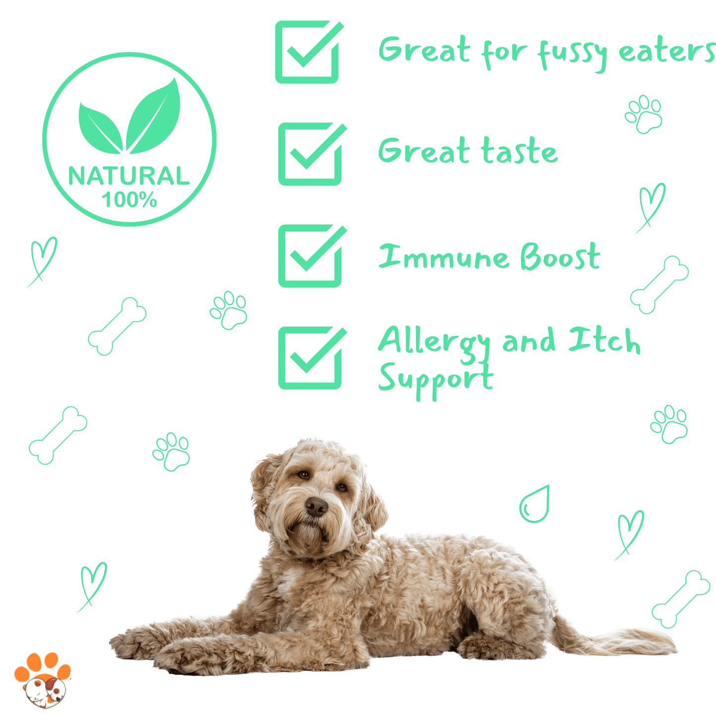 Petrition Allergy and Itch Support Chews for Dogs - 120 Chews - Petrition Pet Supplements