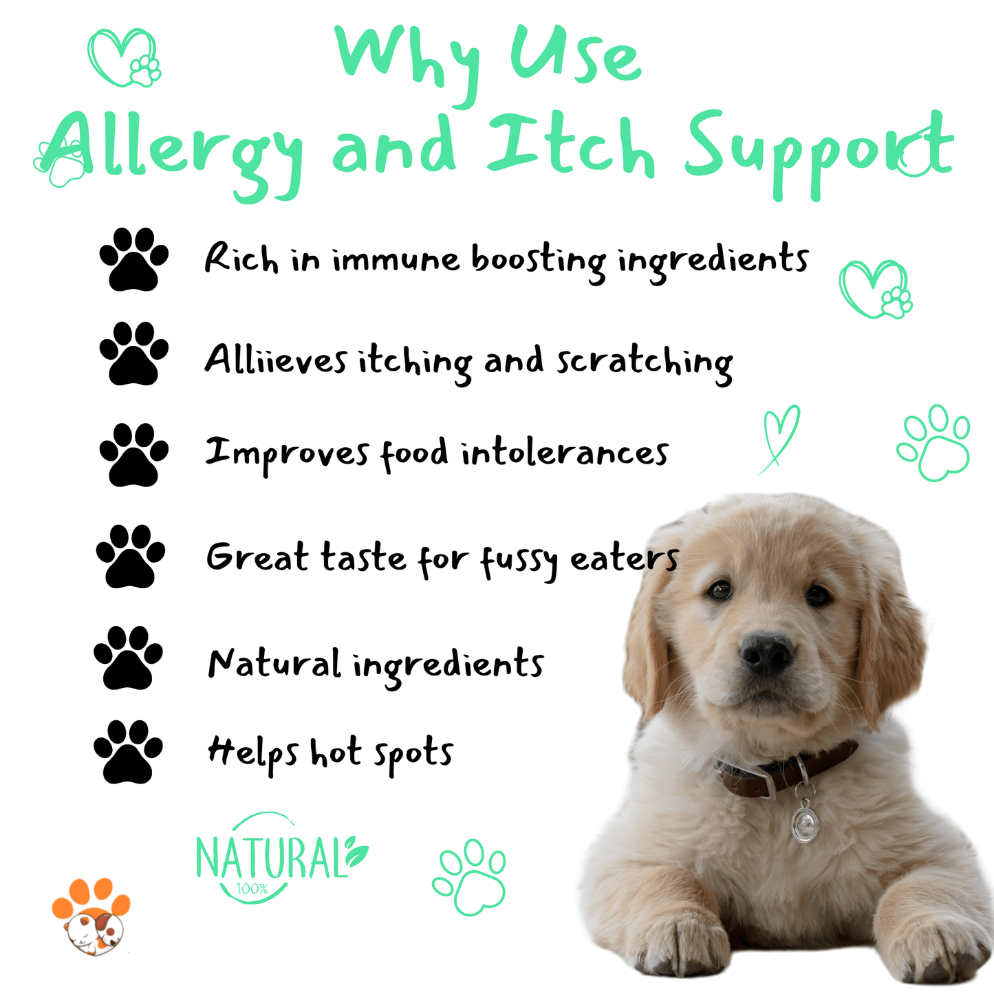 Petrition Allergy and Itch Support Chews for Dogs - 120 Chews - Petrition Pet Supplements