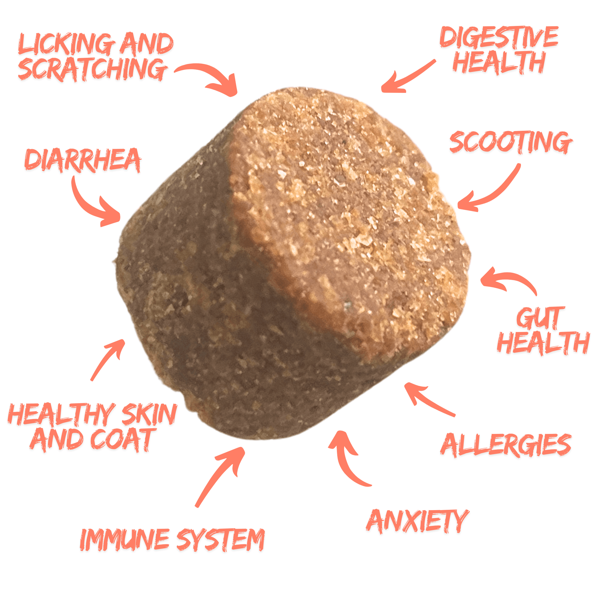 Petrition Probiotic Chews for Dogs - 120 Chews Chicken Flavour, Immune Support - Petrition Pet Supplements