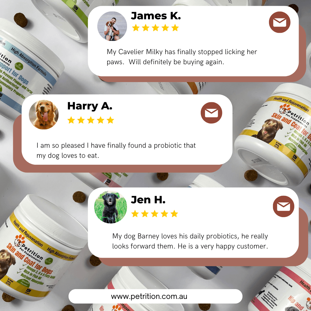 Petrition Probiotic Chews for Dogs - 120 Chews Chicken Flavour, Immune Support - Petrition Pet Supplements