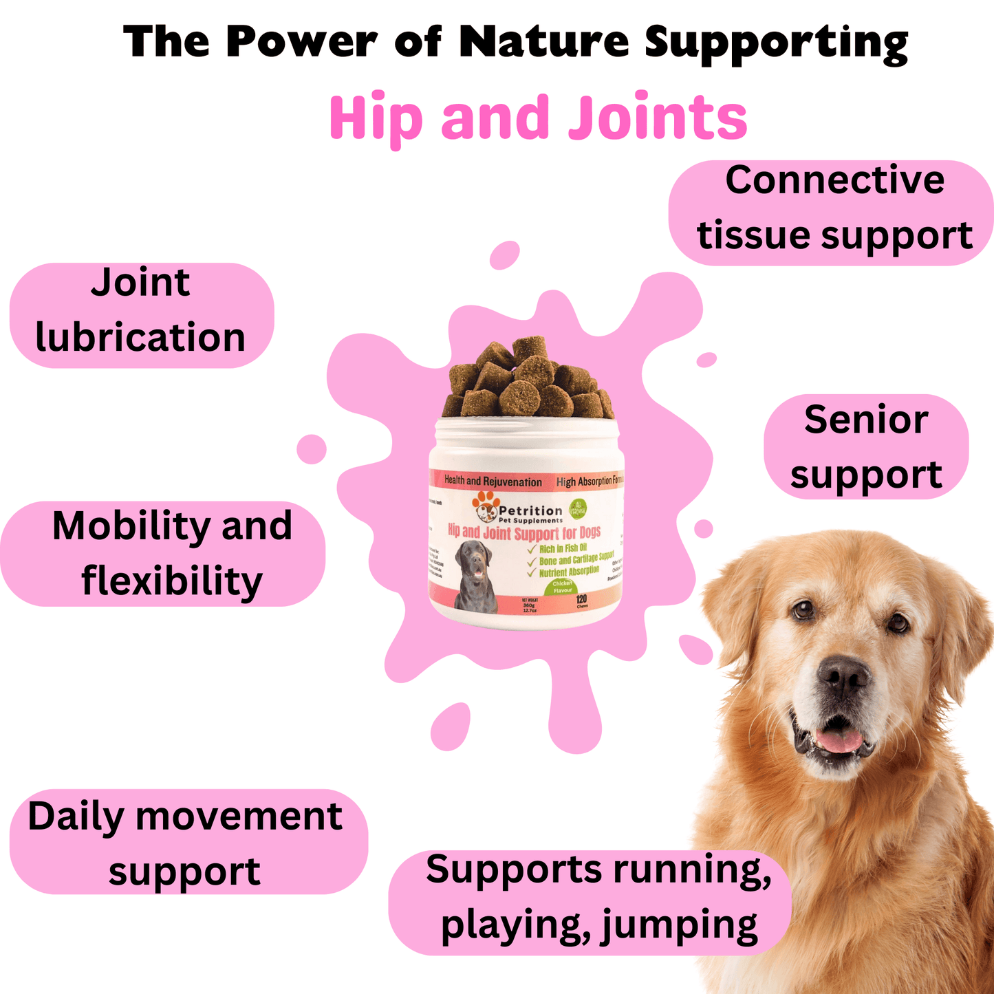 Petrition Hip and Joint Chews for Dogs - 120 Chews Chicken Flavour - Petrition Pet Supplements