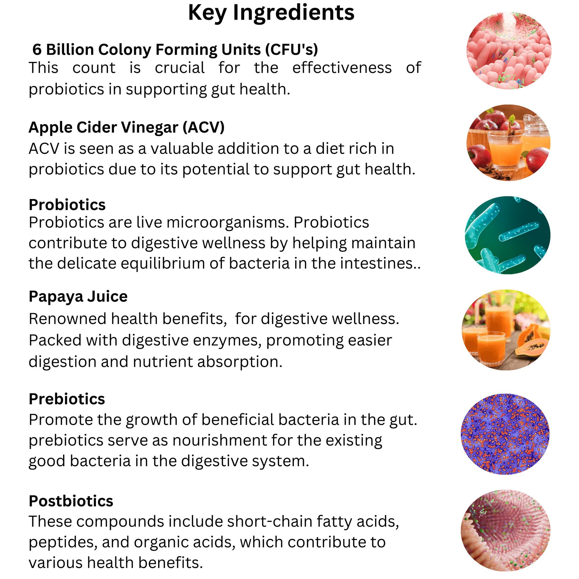 Petrition Probiotic Chews for Dogs - 120 Chews Chicken Flavour, Immune Support - Petrition Pet Supplements