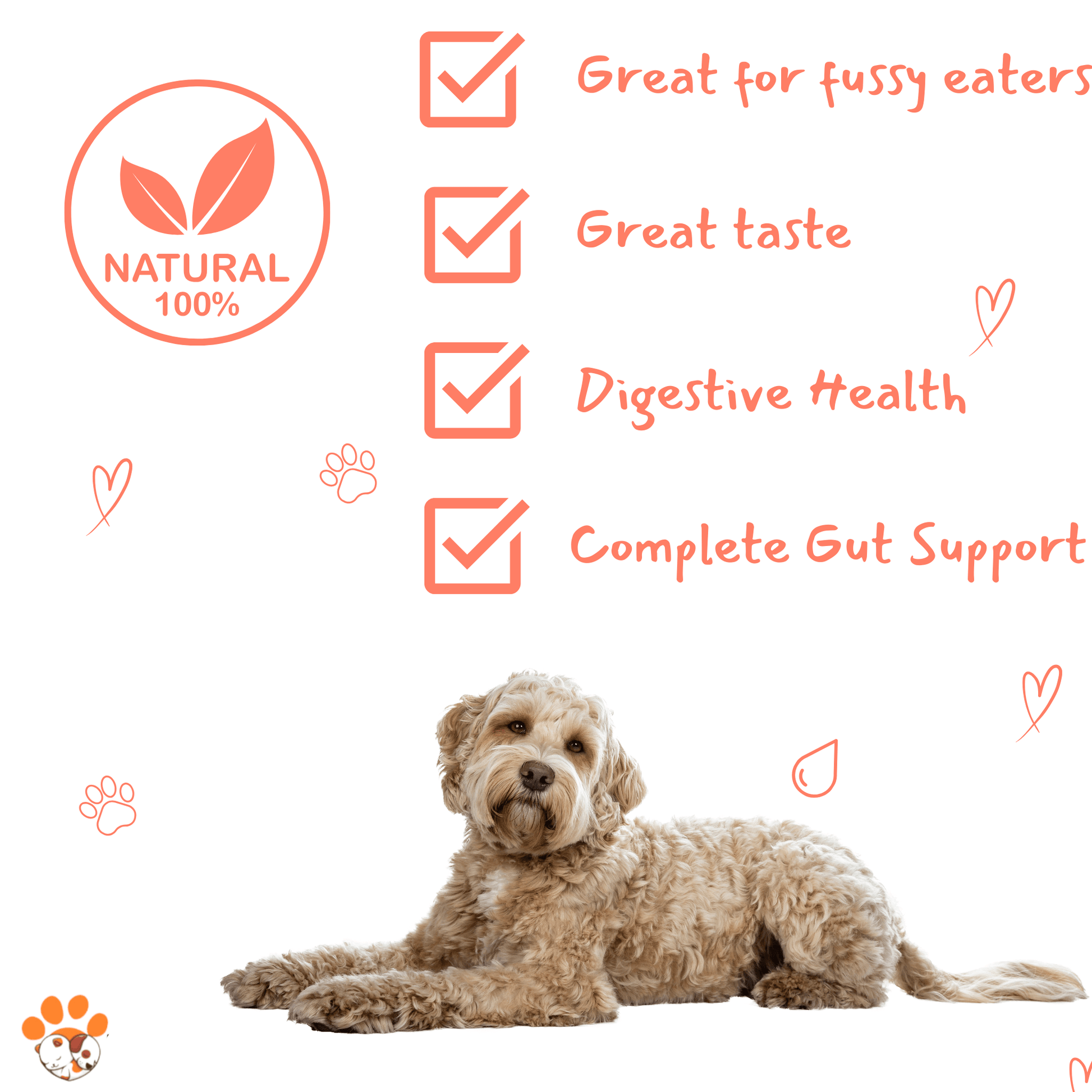Petrition Probiotic Chews for Dogs - 120 Chews Chicken Flavour, Immune Support - Petrition Pet Supplements