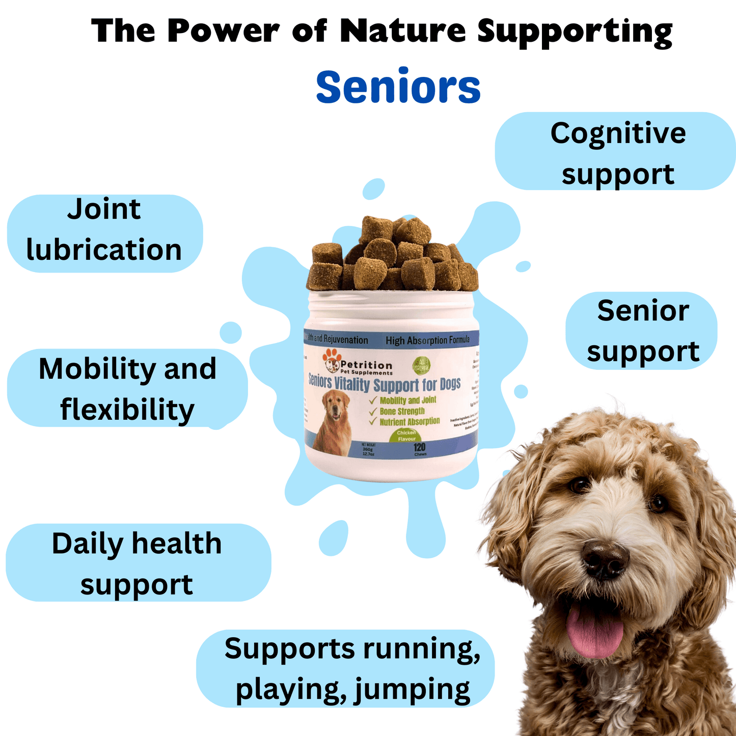 Petrition Senior Support Chews for Dogs - 120 Chew Chicken Flavour - Petrition Pet Supplements