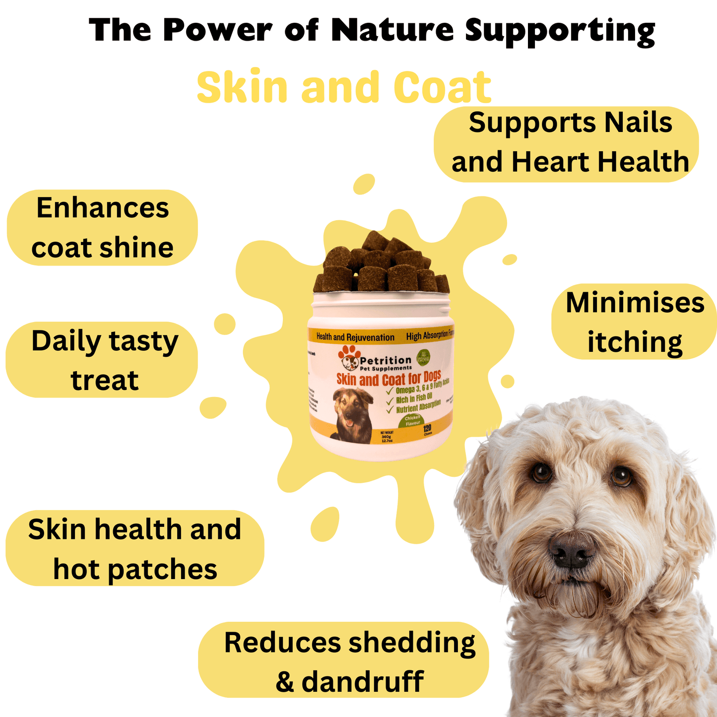 Petrition Skin and Coat Chews for Dogs - 120 Chew Chicken Flavour - Petrition Pet Supplements