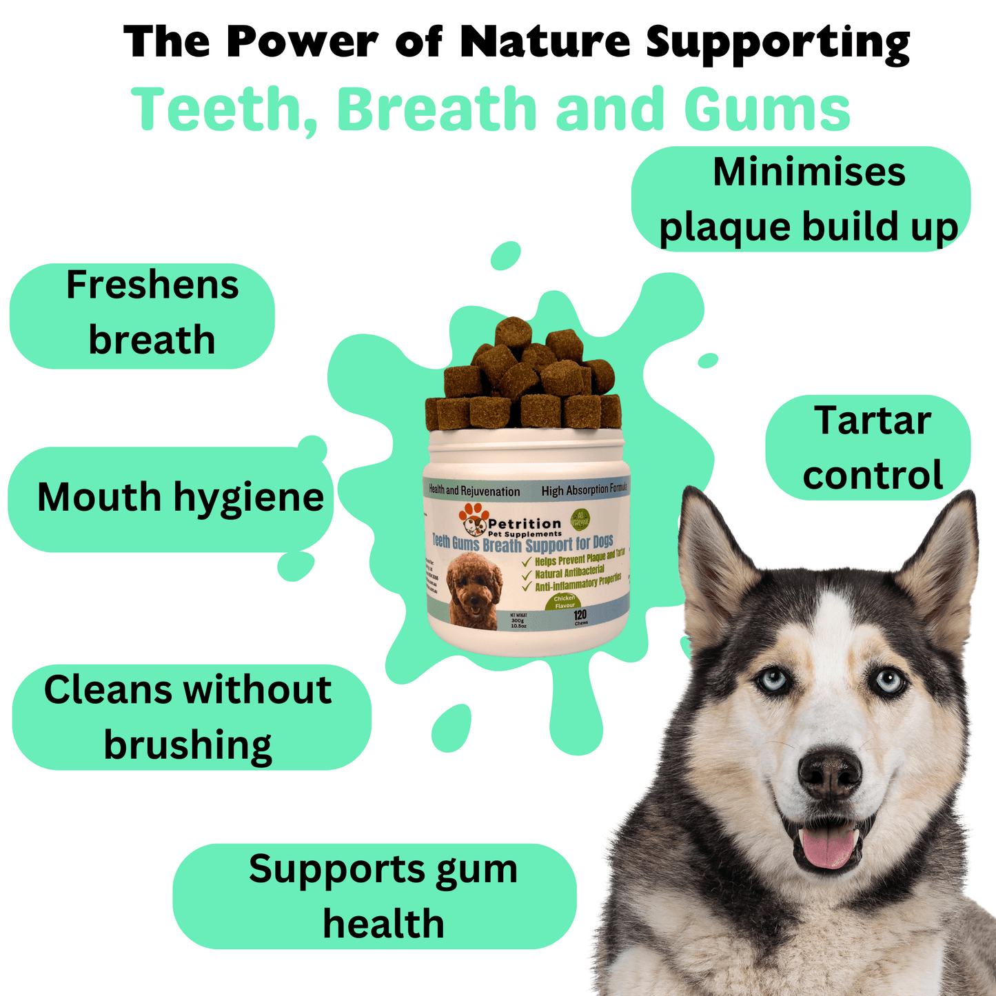 Petrition Teeth and Breath Support Chews for Dogs - 120 Chews - Petrition Pet Supplements
