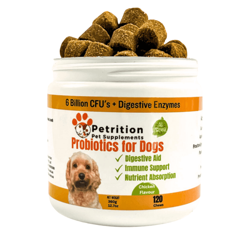 Petrition Probiotic Chews for Dogs - 120 Chews Chicken Flavour, Immune Support - Petrition Pet Supplements 