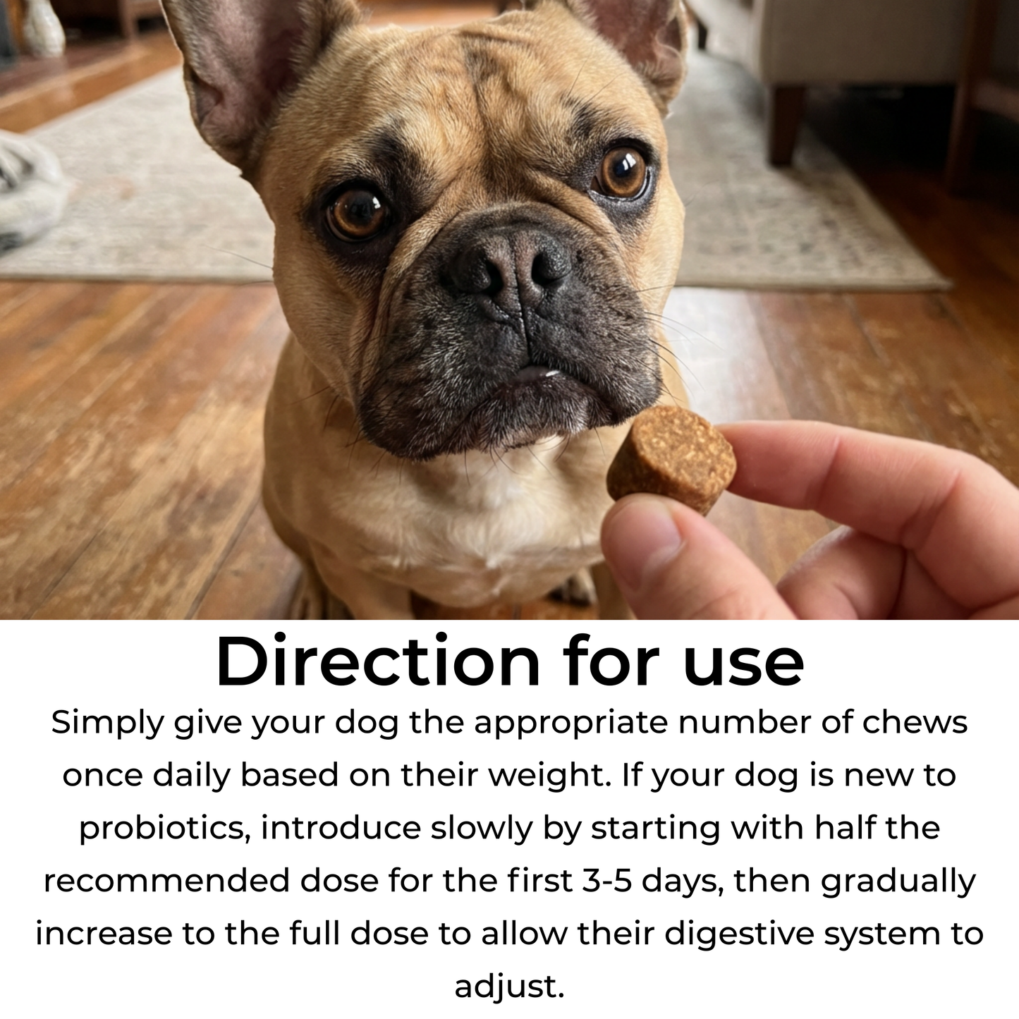 Petrition Probiotic Chews for Dogs - 120 Chews Chicken Flavour, Immune Support