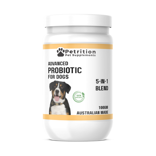 Petrition Probiotic Support for Dogs - 100gm Powder Supplement - Australian Made