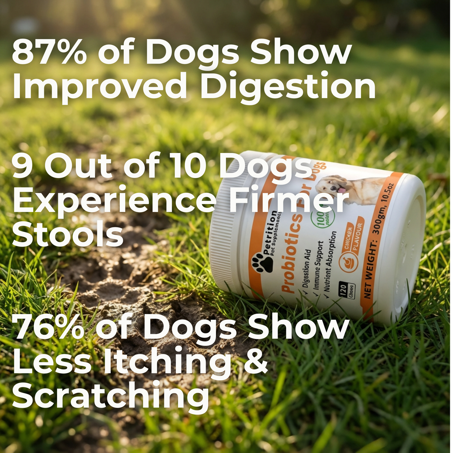 Petrition Probiotic Chews for Dogs - 120 Chews Chicken Flavour, Immune Support