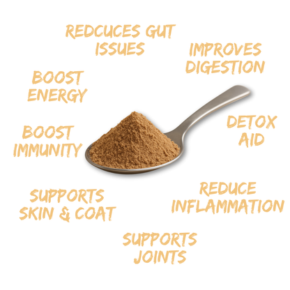 Petrition Probiotic Support for Dogs - 100gm Powder Supplement - Australian Made