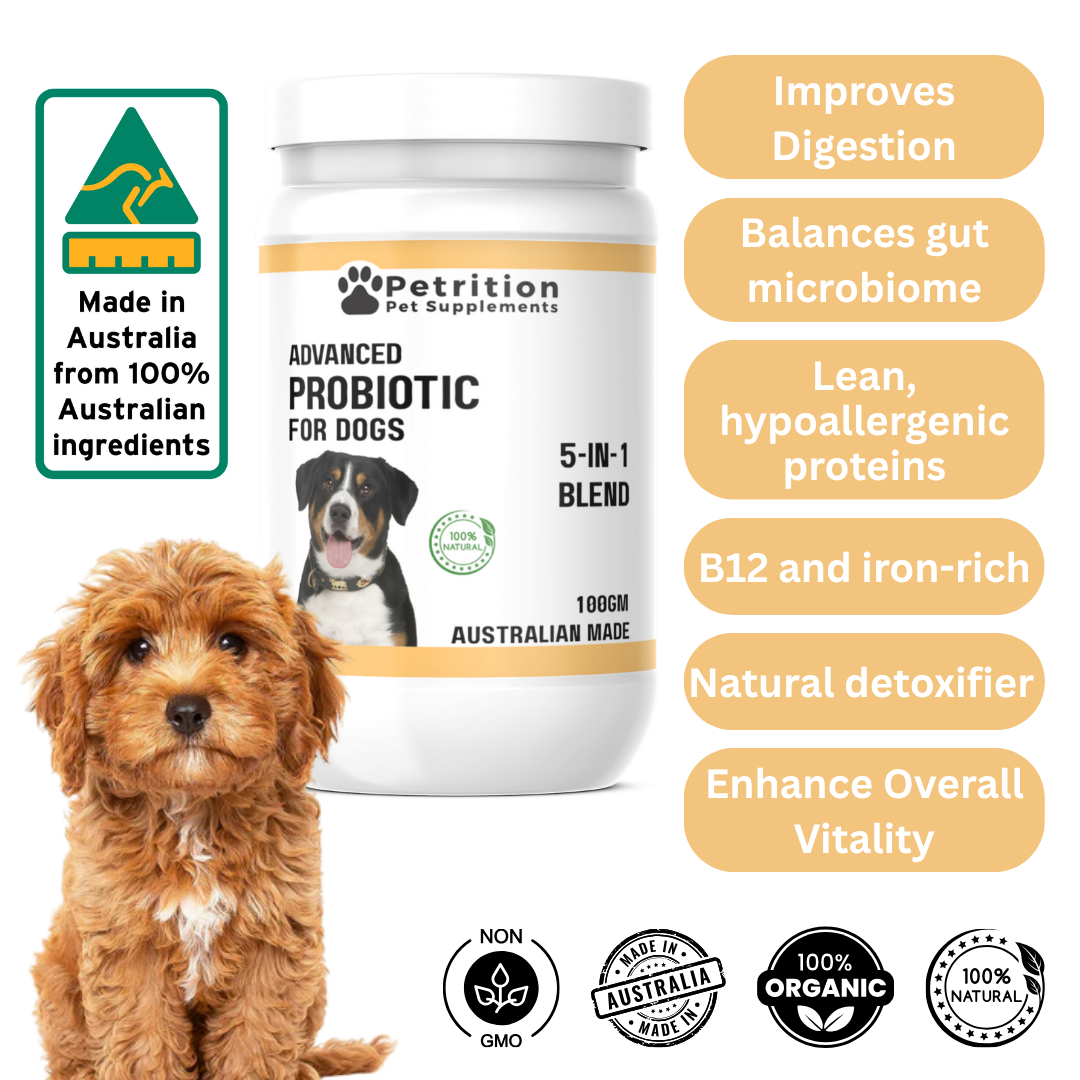 Petrition Probiotic Support for Dogs - 100gm Powder Supplement - Australian Made
