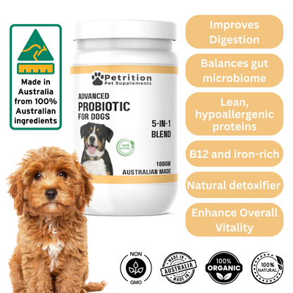 Petrition Probiotic Support for Dogs - 100gm Powder Supplement - Australian Made