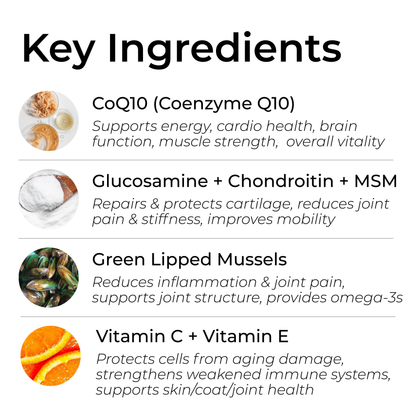 Petrition Senior Support Chews for Dogs - 120 Chew Chicken Flavour