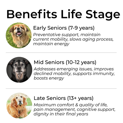 Petrition Senior Support Chews for Dogs - 120 Chew Chicken Flavour