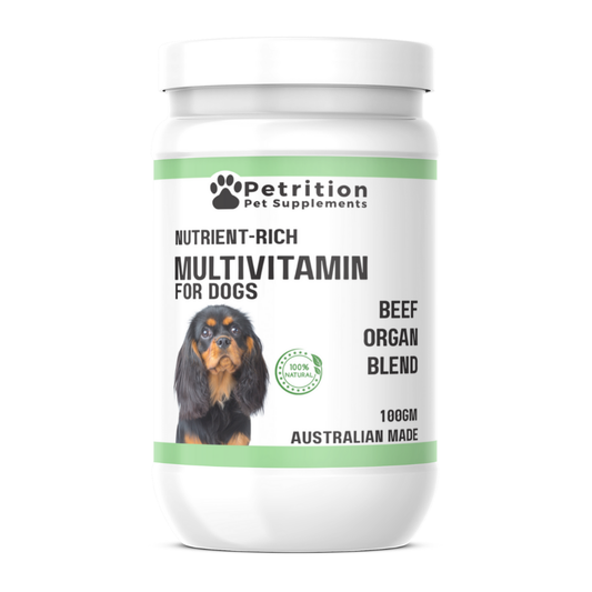 Petrition Multivitamin Supplement for Dogs - 100gm Powder Beef Flavour