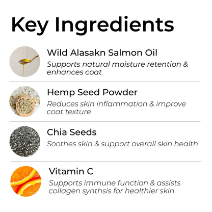 Petrition Skin and Coat Chews for Dogs - 120 Chew Chicken Flavour