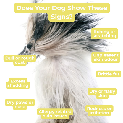 Petrition Skin and Coat Chews for Dogs - 120 Chew Chicken Flavour