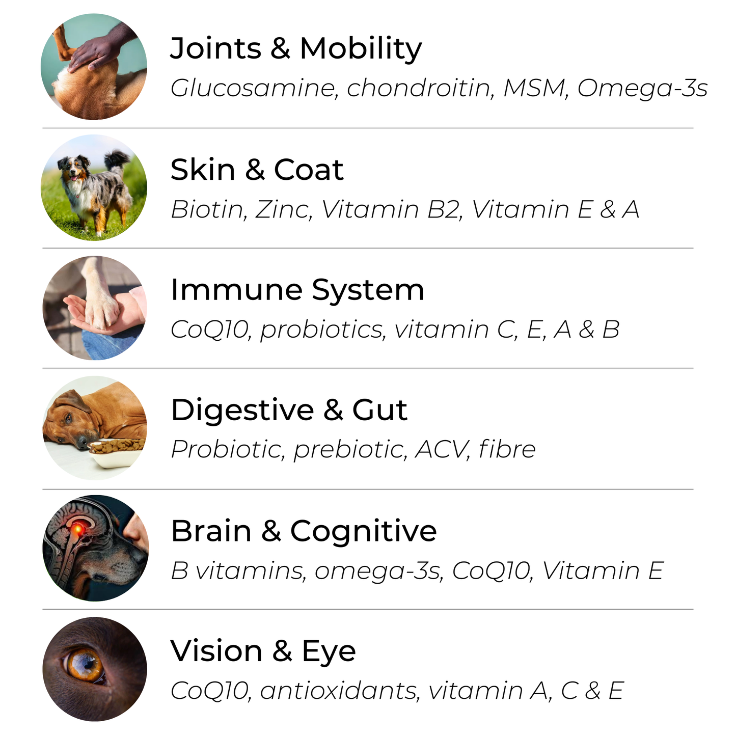 Petrition 11 in 1 Multivitamin Chews for Dogs - 120 Chews Chicken Flavour