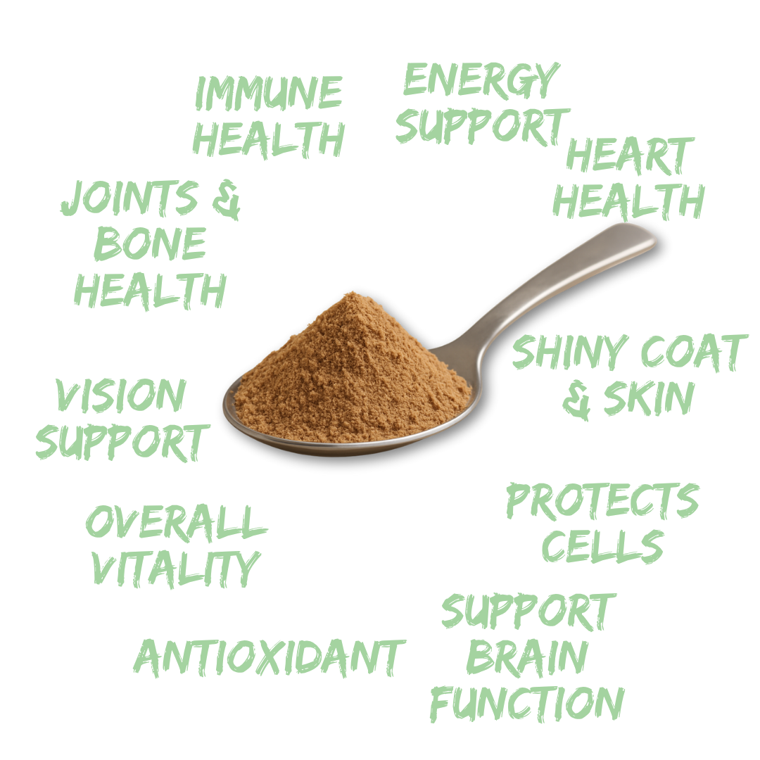 Petrition Multivitamin Supplement for Dogs - 100gm Powder Beef Flavour