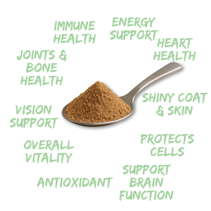 Petrition Multivitamin Supplement for Dogs - 100gm Powder Beef Flavour