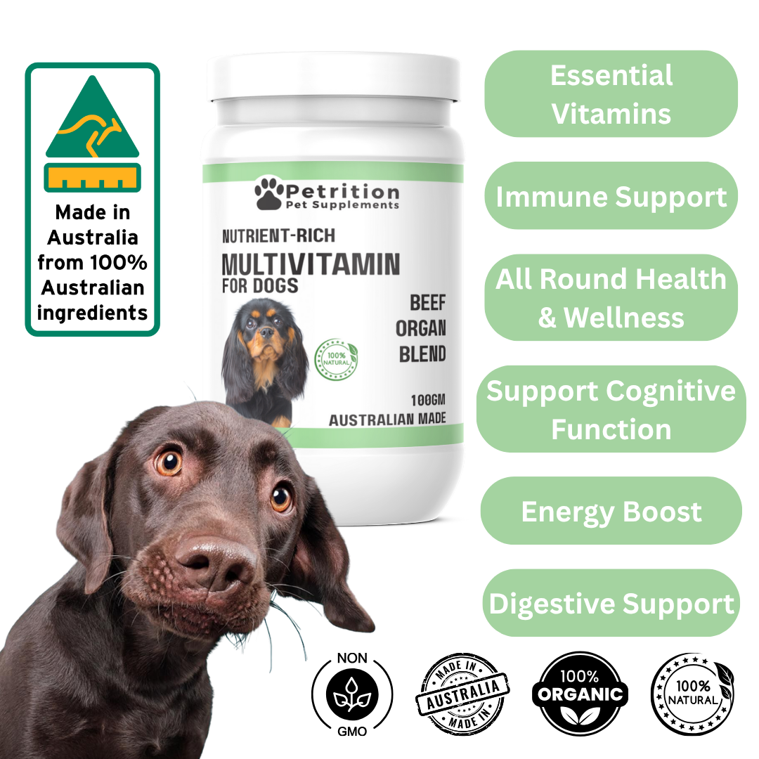 Petrition Multivitamin Supplement for Dogs - 100gm Powder Beef Flavour