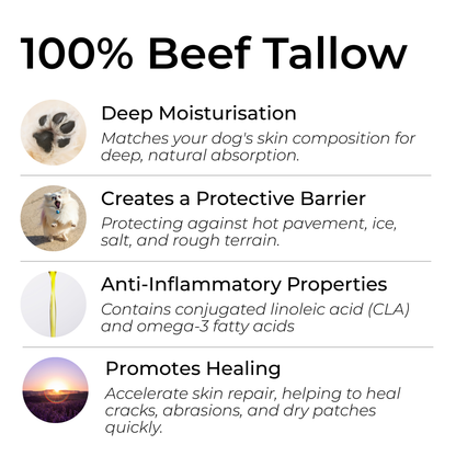 Gentle Yet Powerful Paw & Snout Balm for Dogs