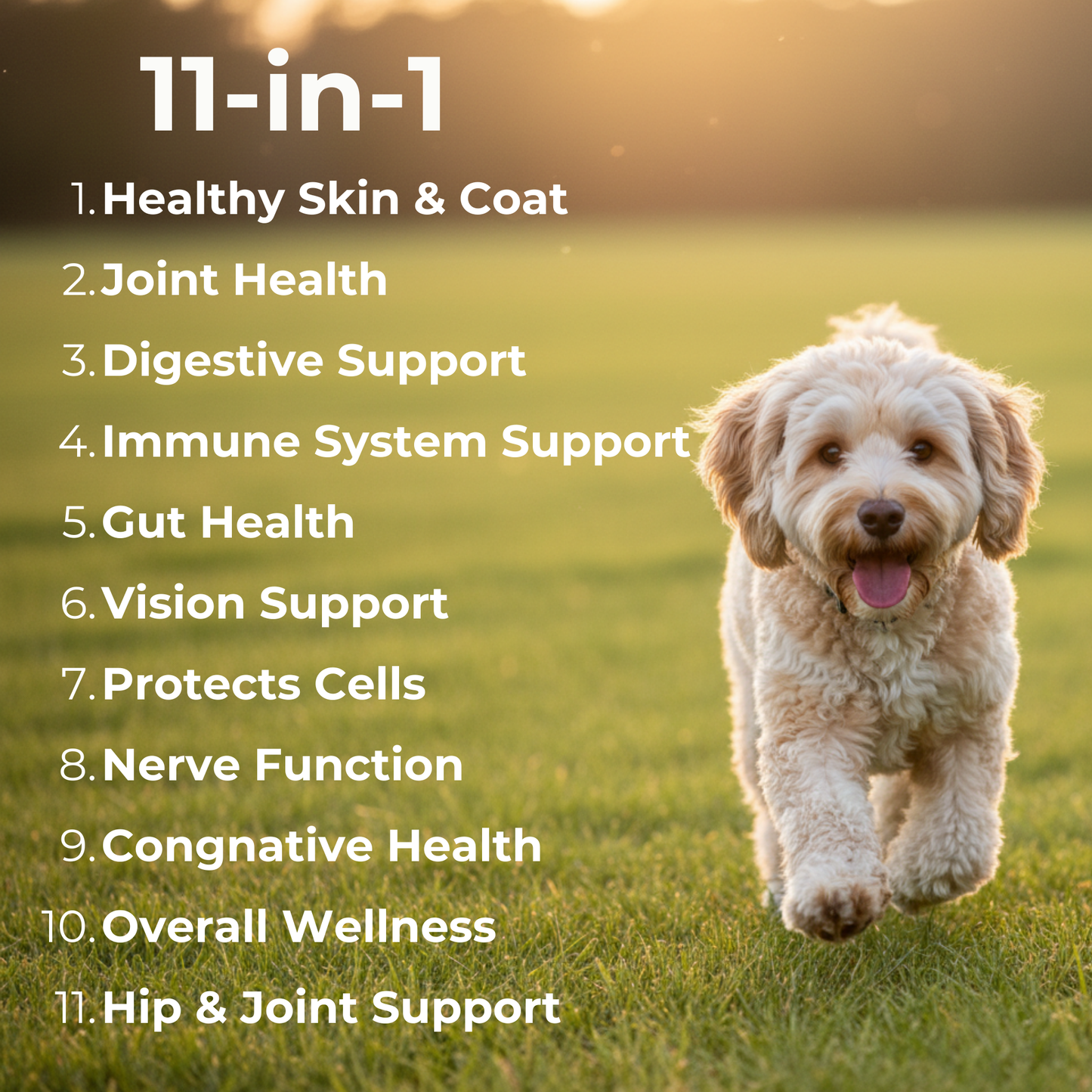 Petrition 11 in 1 Multivitamin Chews for Dogs - 120 Chews Chicken Flavour