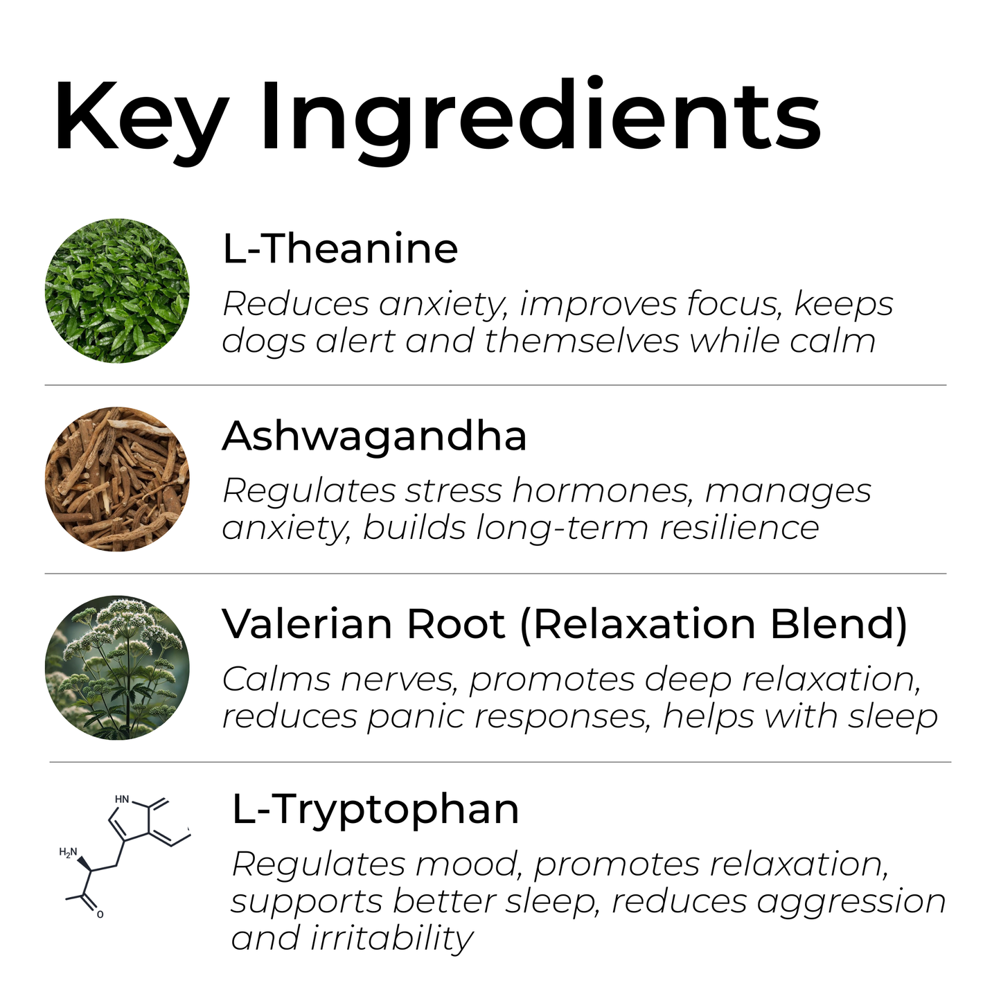 Petrition Calming Support Chews for Dogs - 120 Chews