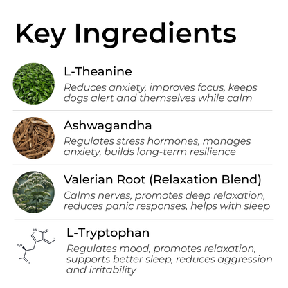 Petrition Calming Support Chews for Dogs - 120 Chews