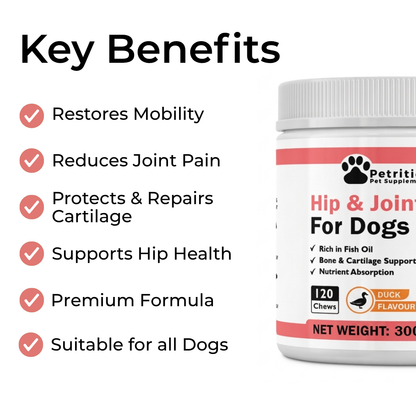 Hip + Joint Support for Dogs