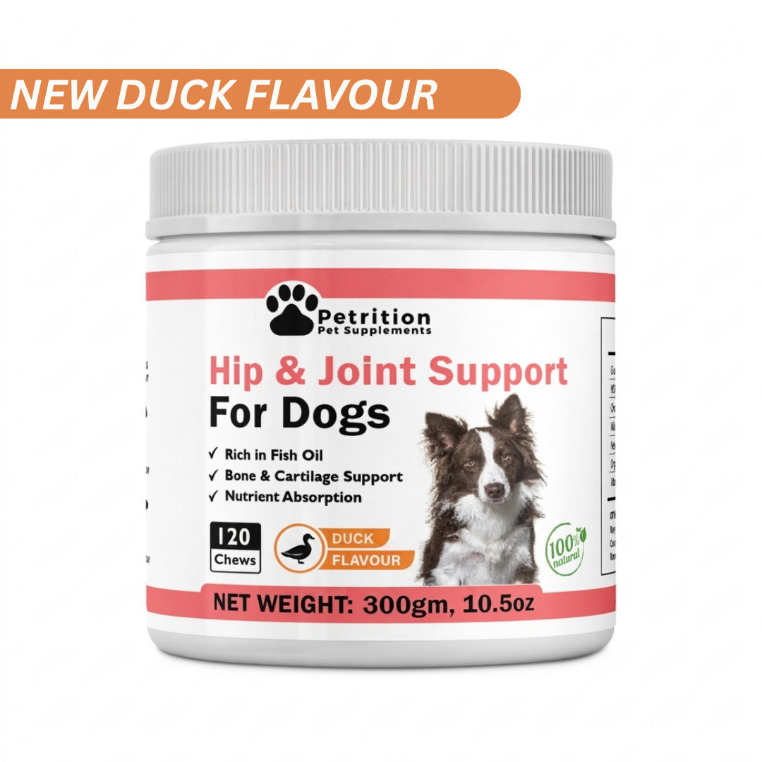 Hip + Joint Support for Dogs