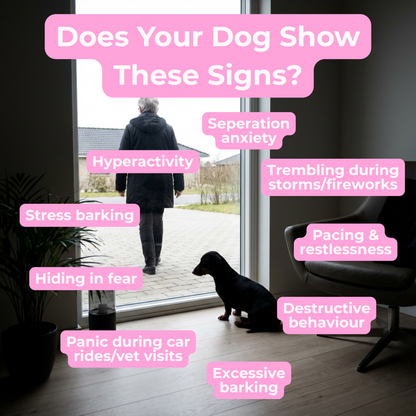 Petrition Calming Support Chews for Dogs - 120 Chews