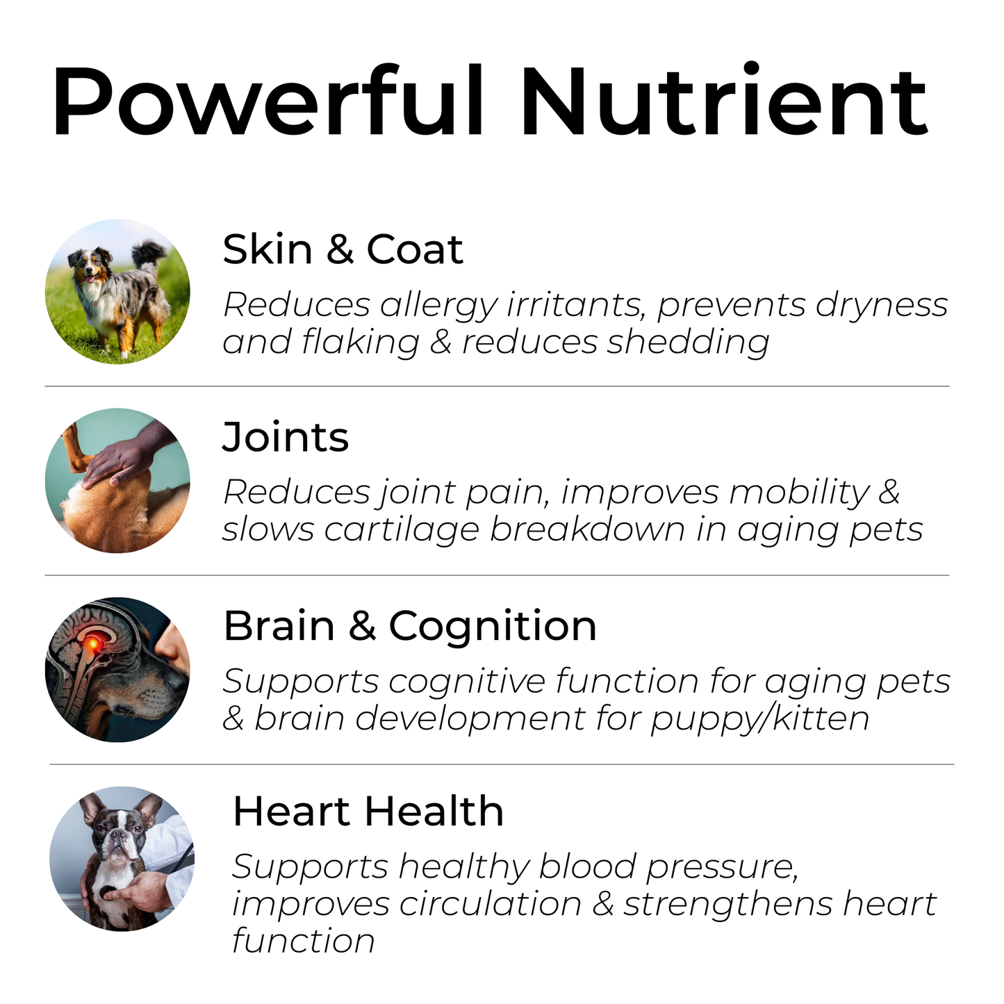 500ml Alaskan Salmon Oil for Dogs & Cats | Joint, Skin, Immune & Heart