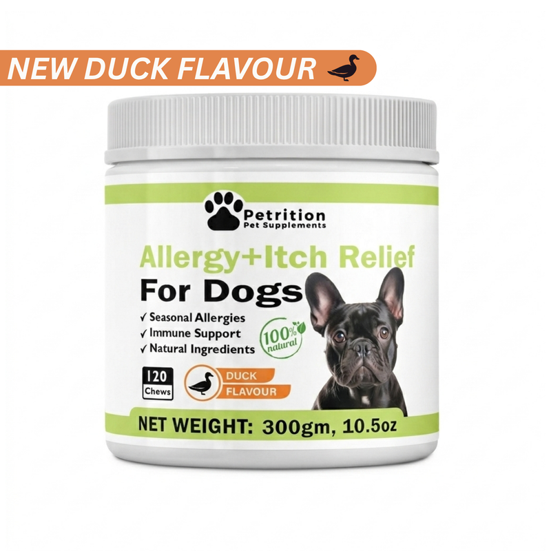 Allergy + Itch Support for Dogs