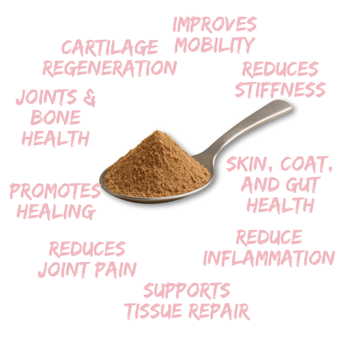Petrition Hip & Joint Kangaroo Blend Australian Made 100gm Powder