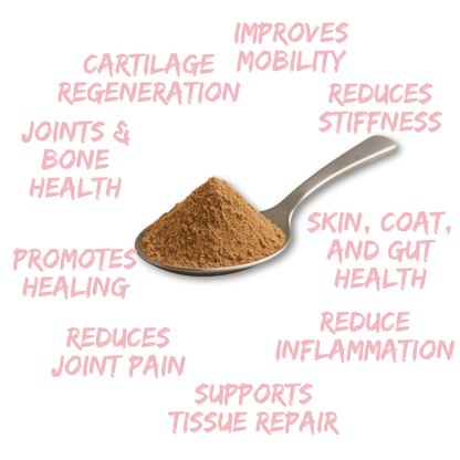 Petrition Hip & Joint Kangaroo Blend Australian Made 100gm Powder