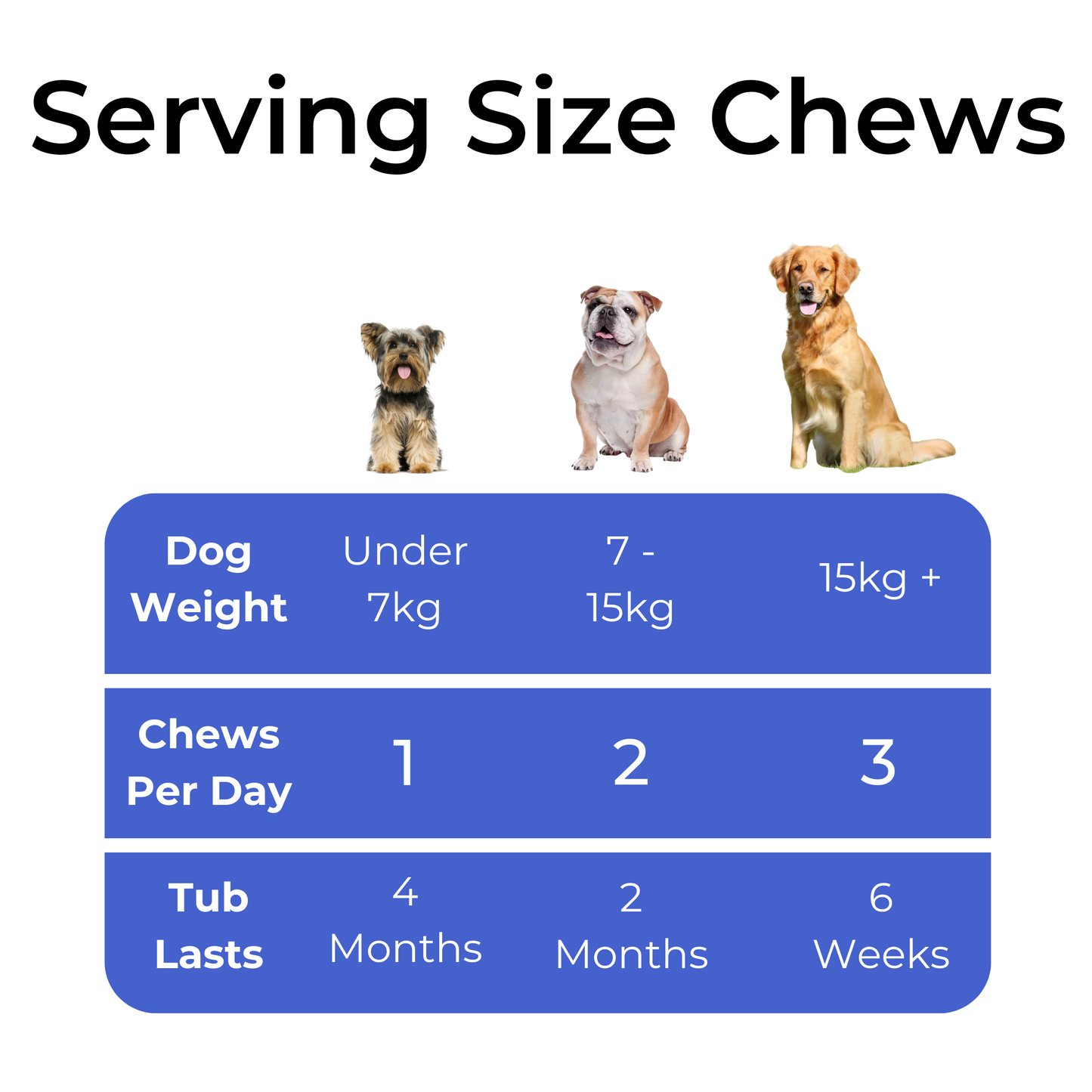 The Complete Allergy Solution Bundle