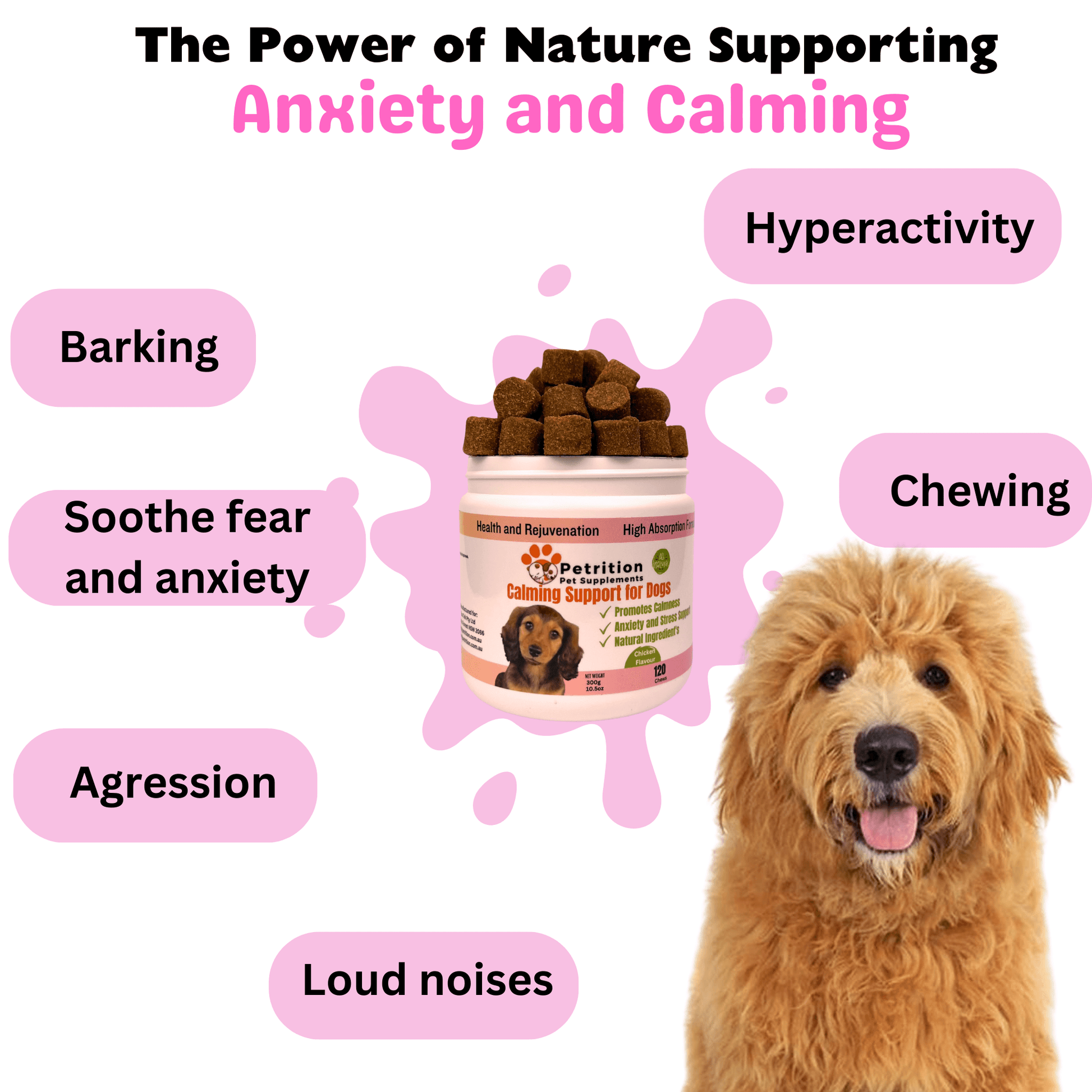 Petrition Calming Support Chews for Dogs - 120 Chews - Petrition Pet Supplements 