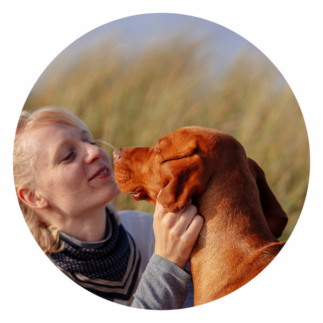 Dog licking lady